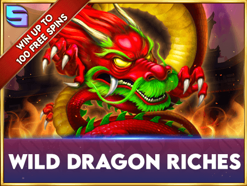 Wild Dragon Riches game cover