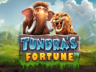 Tundra's Fortune game cover