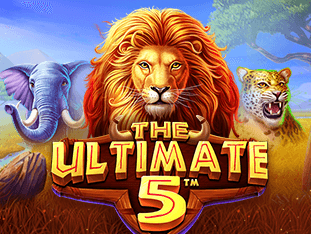 The Ultimate 5 game cover