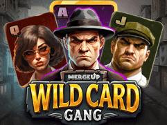 Wild Card Gang game cover